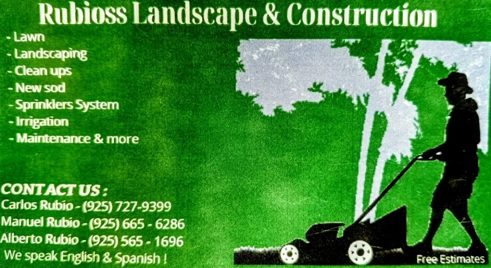 Expert yard cleanup service in Antioch, CA by Rubio's Landscape and Construction