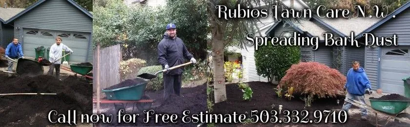 Affordable lawn mowing service experts serving Hillsboro, OR - Rubio's Lawn Care NW