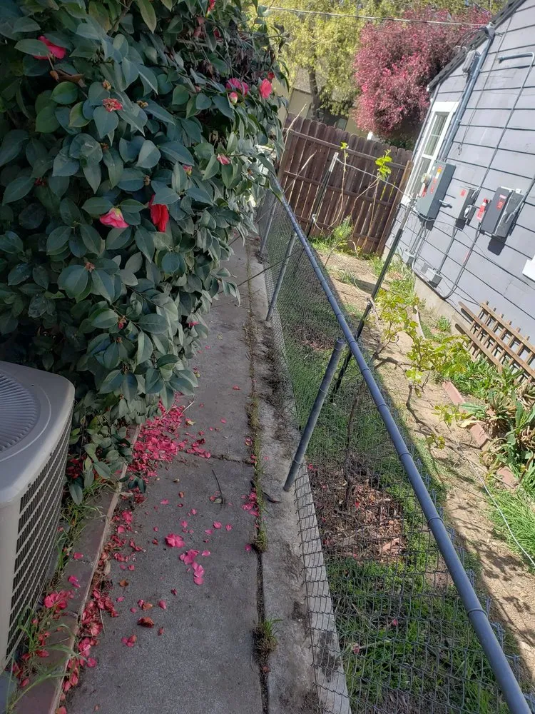 Expert outdoor landscaping for year-round maintenance across Tracy, CA - Rubio's Lawn Care