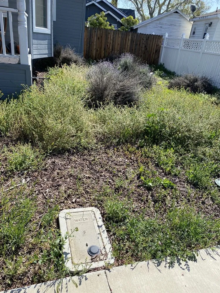 Professional lawn care service in Tracy, CA - Rubio's Lawn Care