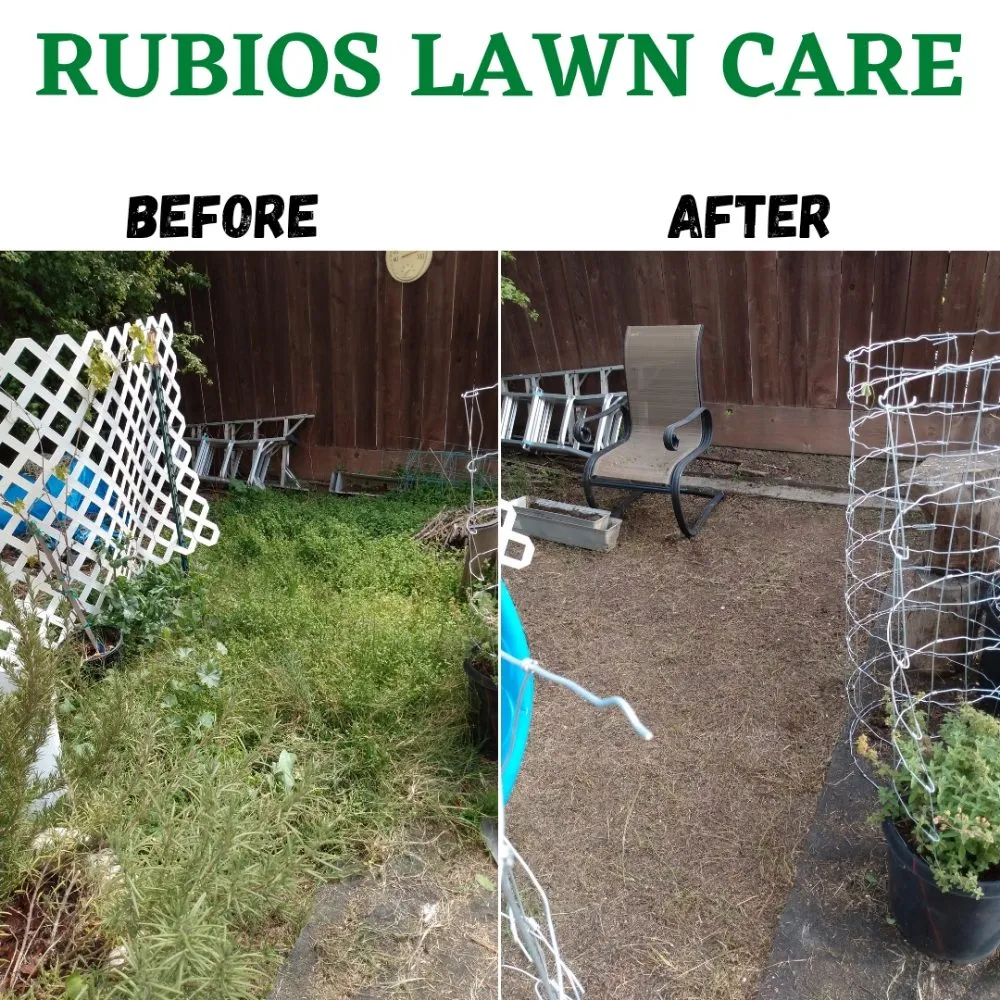 Professional yard maintenance for residential properties in Tracy, CA by Rubio's Lawn Care