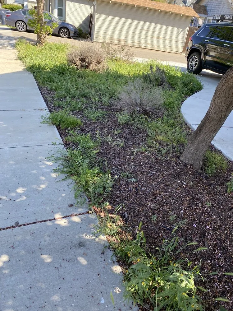 Expert landscaping services for homes in Tracy, CA by Rubio's Lawn Care