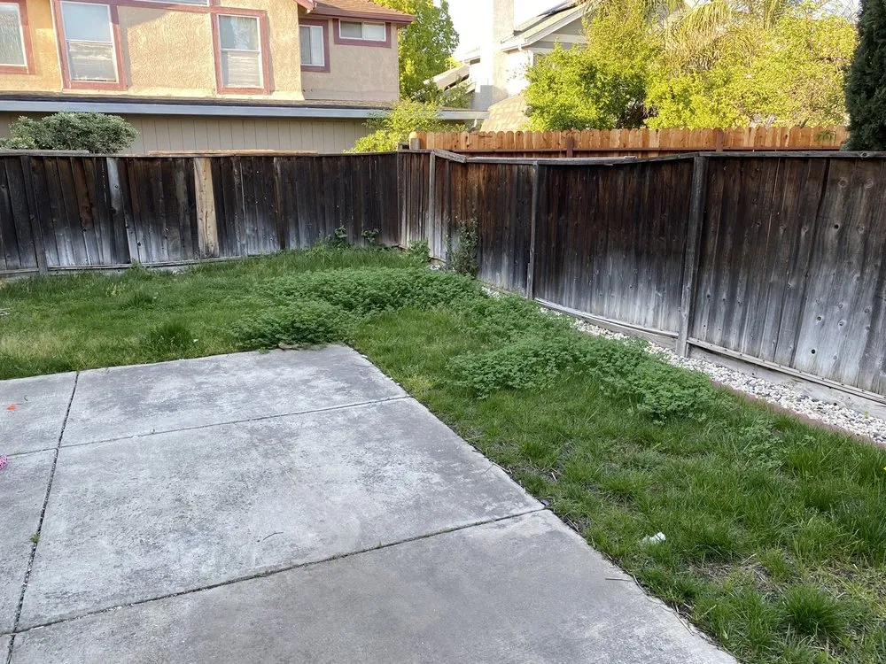 Expert lawn care service in Tracy, CA - Rubio's Lawn Care