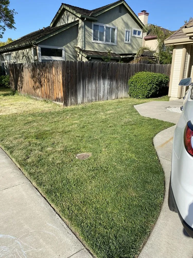 Expert lawn care service in Tracy, CA by Rubio's Lawn Care