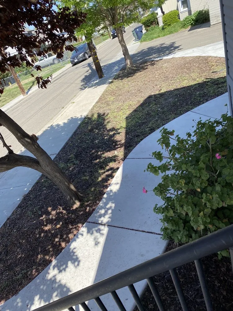 Top-rated landscape installation experts serving Tracy, CA - Rubio's Lawn Care