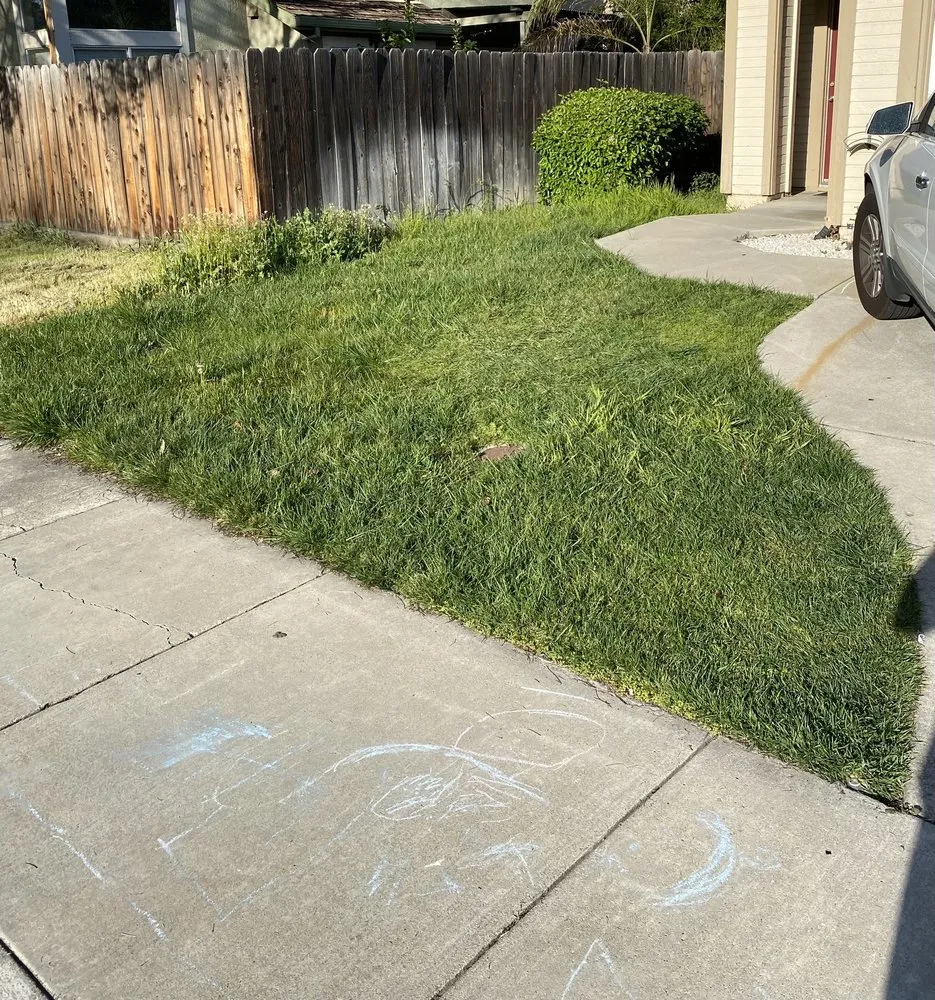 Top-rated landscaping services in Tracy, CA - Rubio's Lawn Care