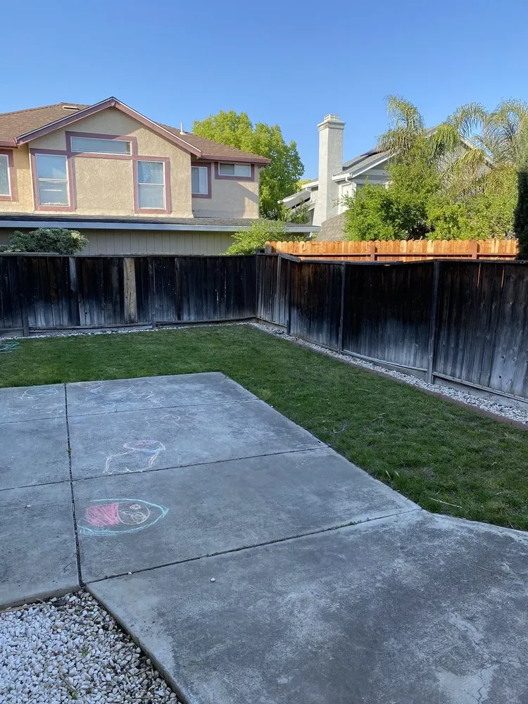 Affordable yard cleanup service for year-round maintenance across Tracy, CA - Rubio's Lawn Care