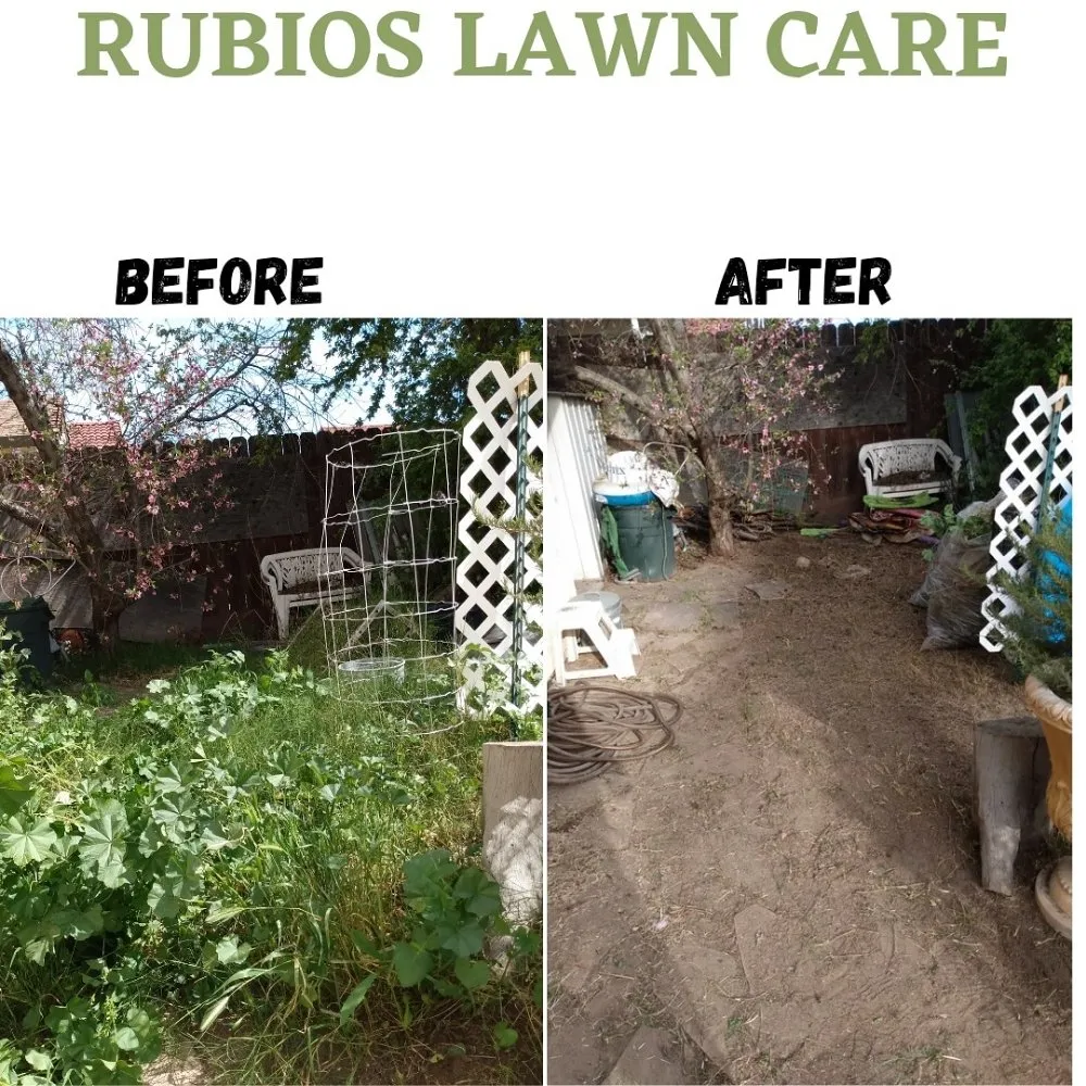 Trusted landscape installation in Tracy, CA by Rubio's Lawn Care
