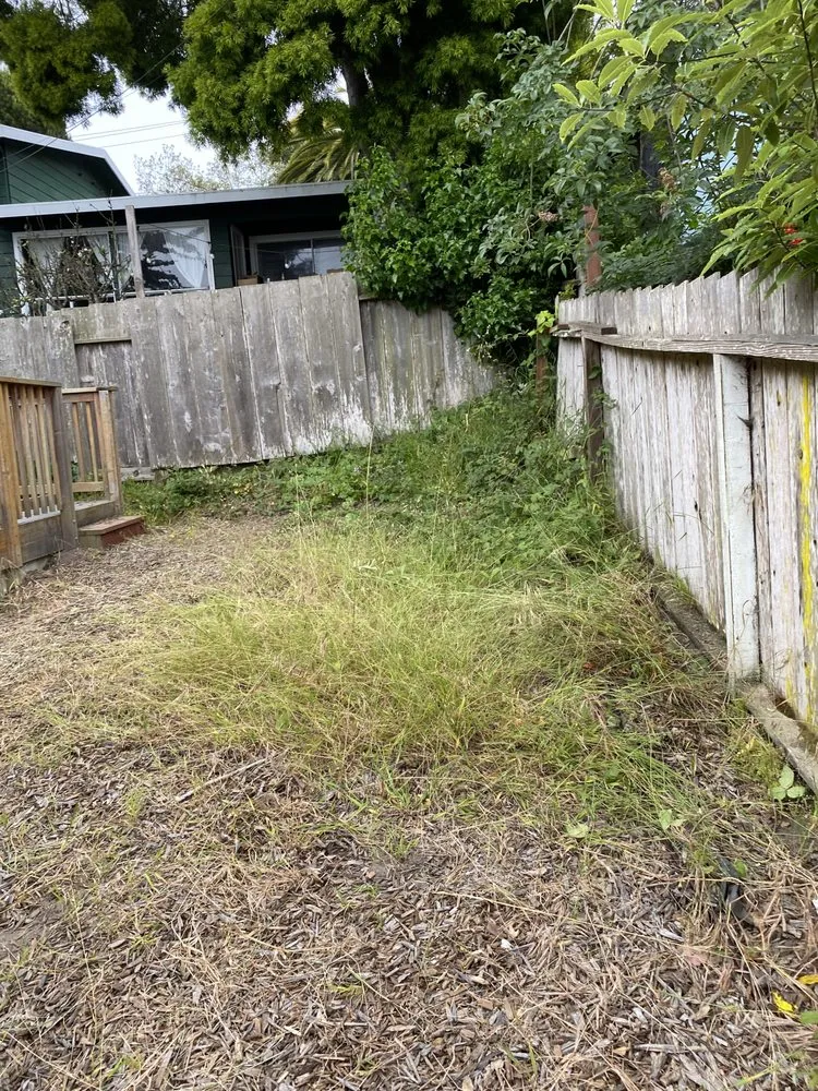 Professional landscaping services experts serving Salinas, CA - Rubio's Lawn Mowing Services