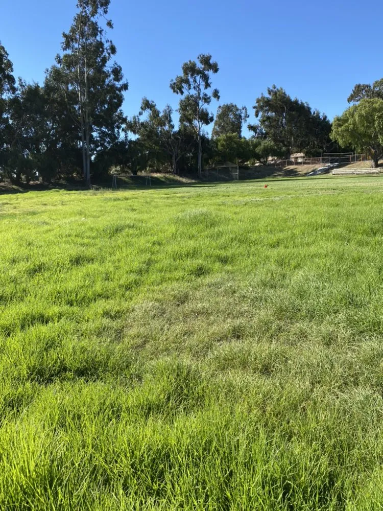 Reliable yard maintenance with custom design across Salinas, CA - Rubio's Lawn Mowing Services