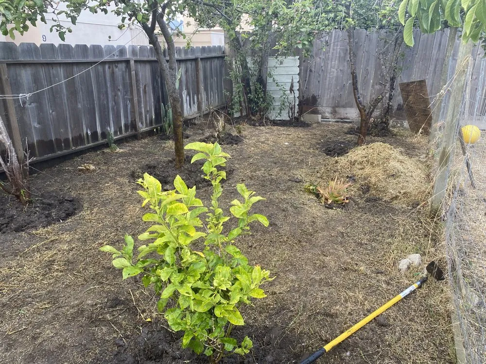 Professional yard cleanup service for beautiful yards across Salinas, CA - Rubio's Lawn Mowing Services