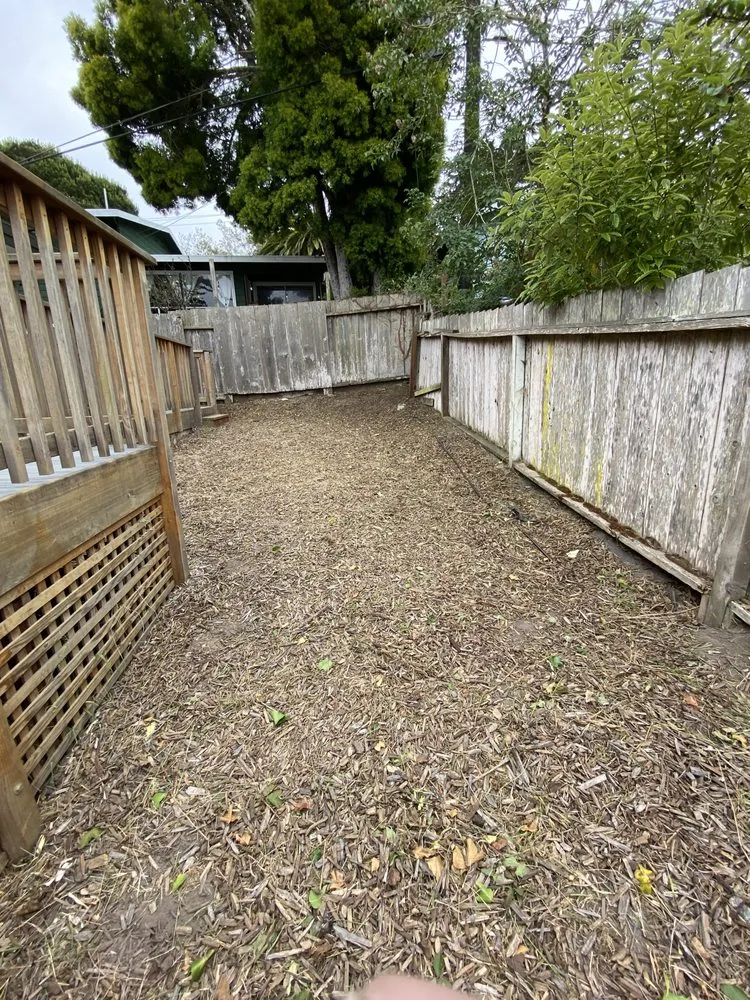 Expert yard maintenance in Salinas, CA - Rubio's Lawn Mowing Services