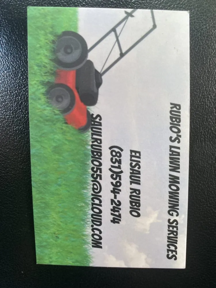 Expert outdoor landscaping in Salinas, CA by Rubio's Lawn Mowing Services