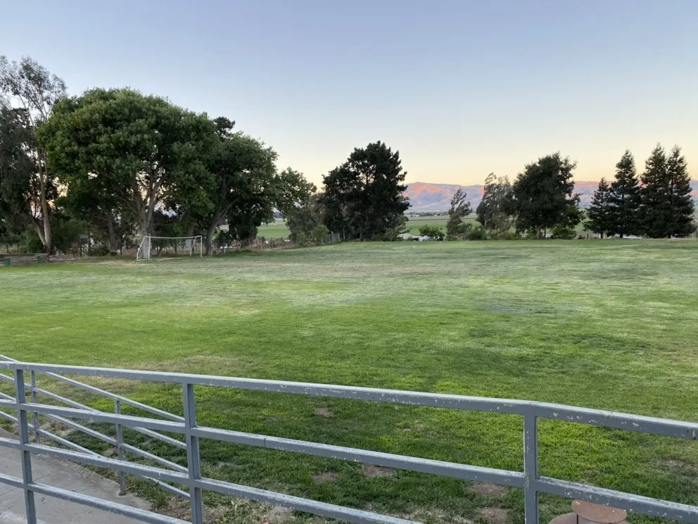 Top-rated outdoor landscaping for year-round maintenance across Salinas, CA - Rubio's Lawn Mowing Services