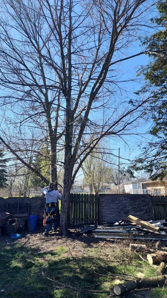 Trusted lawn care service in Harvey, IL by Rubio's Lawn Services