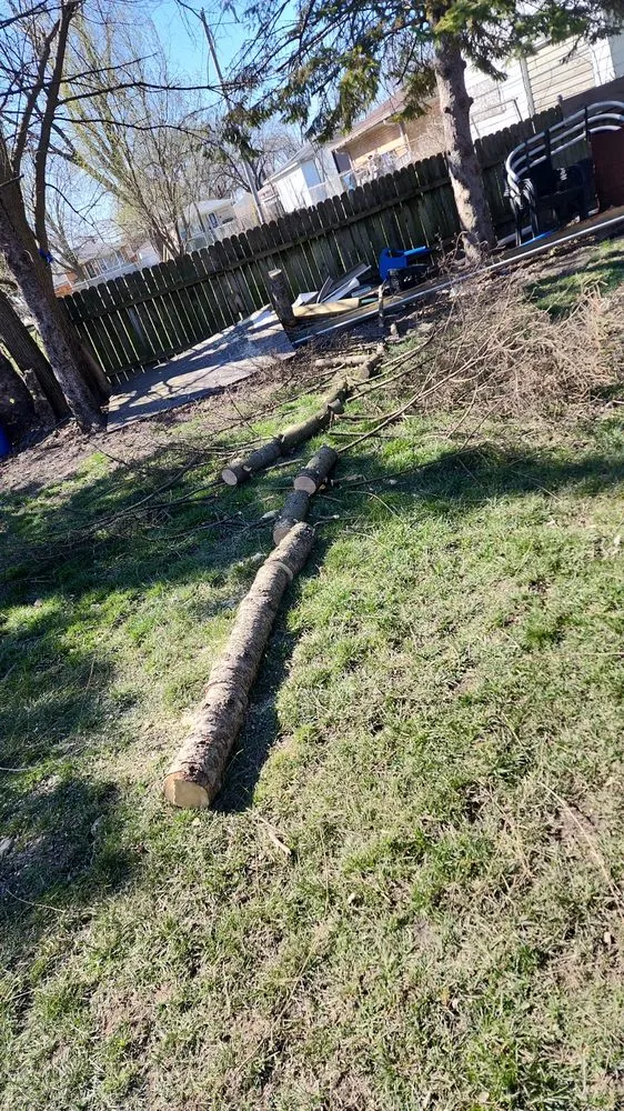 Affordable yard maintenance with custom design in Harvey, IL by Rubio's Lawn Services