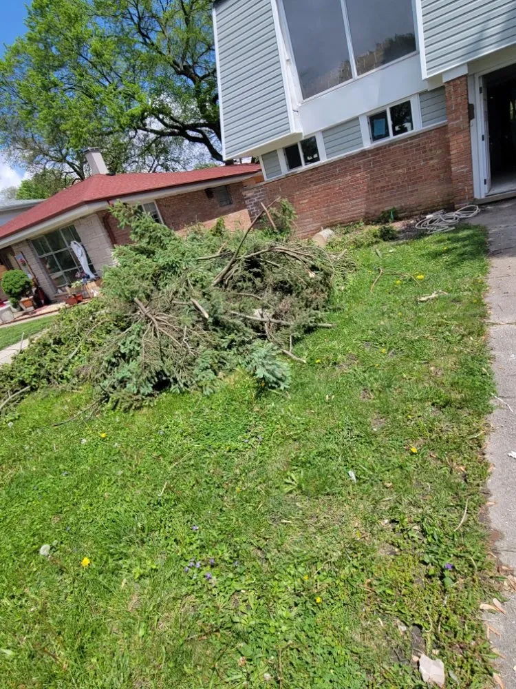 Trusted landscaping services for outdoor upgrades across Harvey, IL - Rubio's Lawn Services