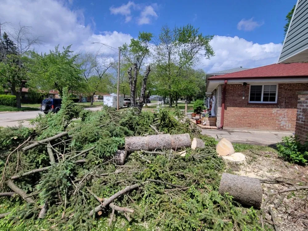 Reliable lawn mowing service experts serving Harvey, IL - Rubio's Lawn Services