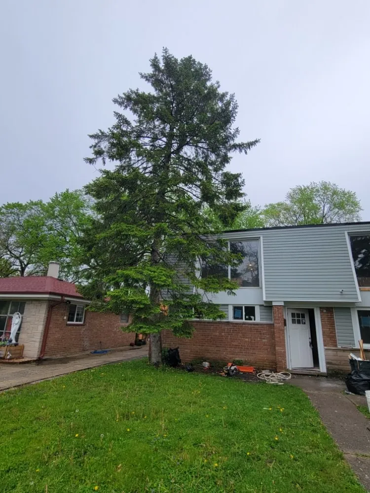 Affordable landscape installation experts serving Harvey, IL - Rubio's Lawn Services