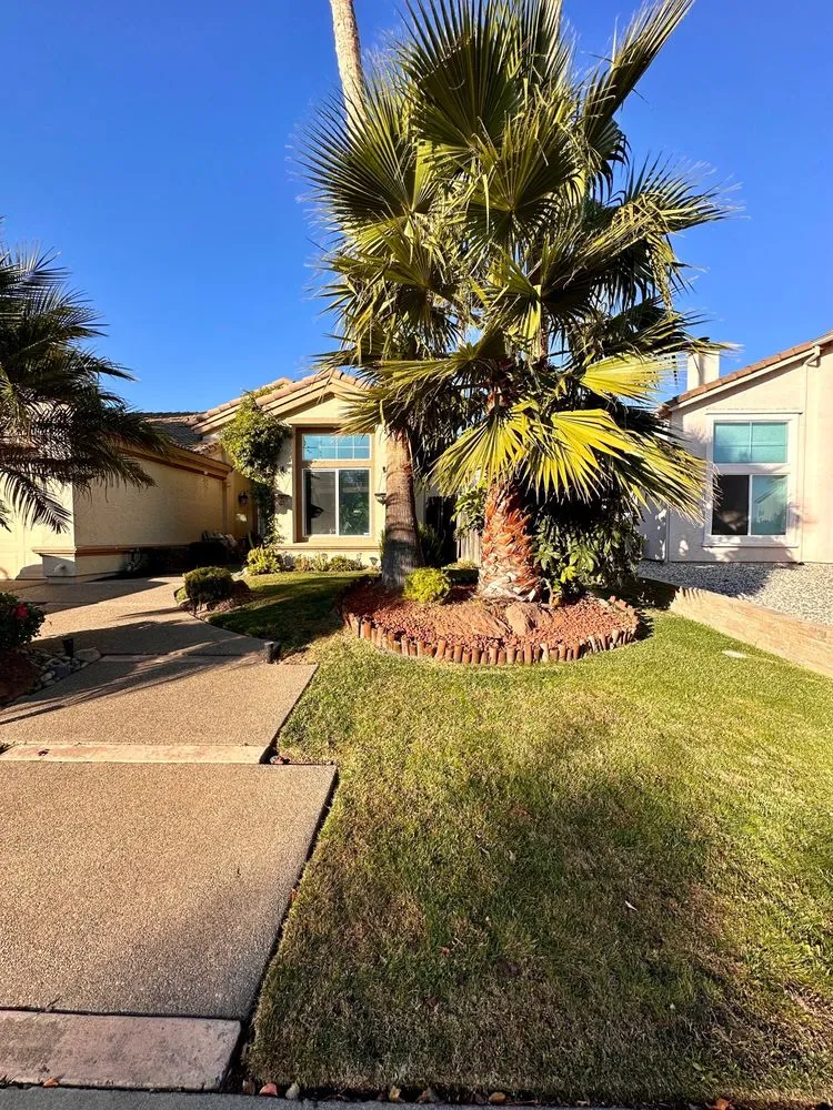 Affordable garden landscaping in Elk Grove, CA by Rubio’s Lawncare and Landscape