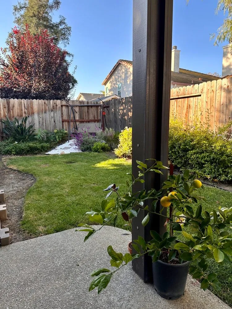 Professional residential landscaping experts serving Elk Grove, CA - Rubio’s Lawncare and Landscape