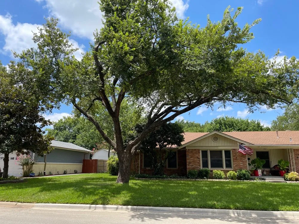 Local yard cleanup service experts serving Arlington, TX - Rubios Trees & Landscaping