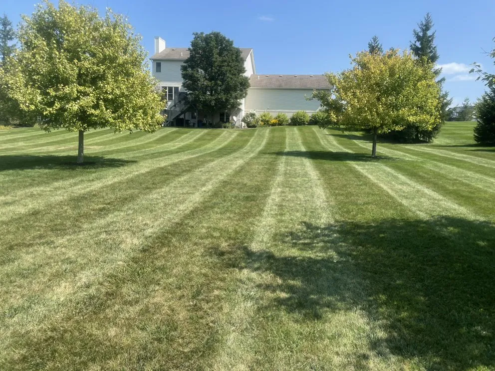Top-rated yard maintenance for beautiful yards across Rushsylvania, OH - Rubles Lawn Mowing