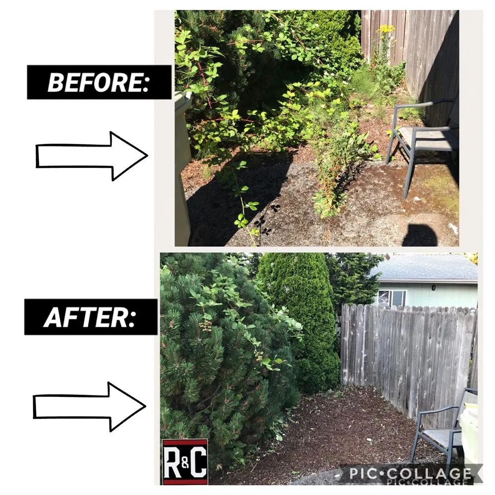 Local outdoor landscaping experts serving Beaverton, WA - Rucker & Company Services