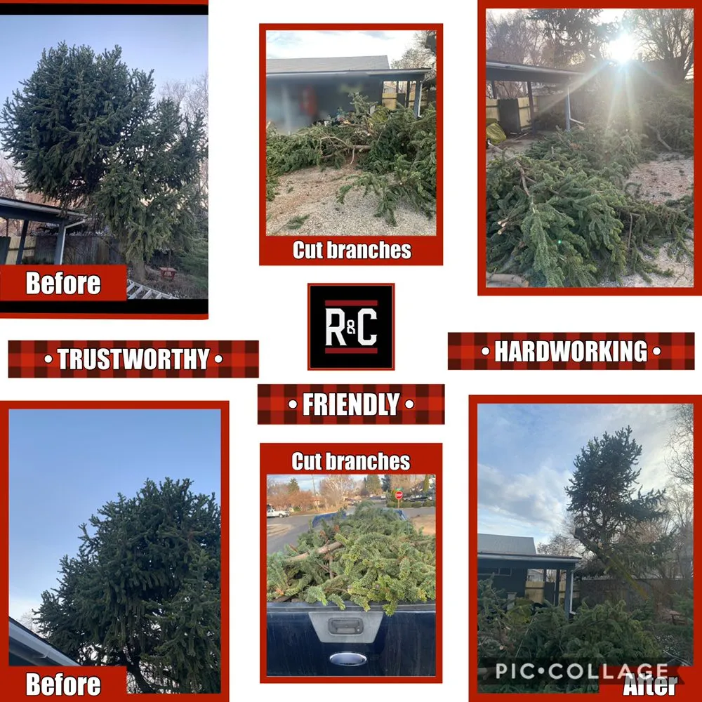 Local landscaping services in Beaverton, WA - Rucker & Company Services