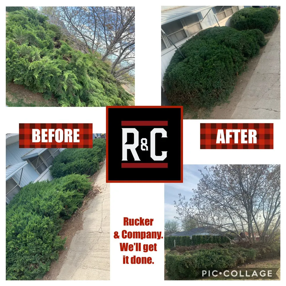 Reliable yard cleanup service for beautiful yards across Beaverton, WA - Rucker & Company Services