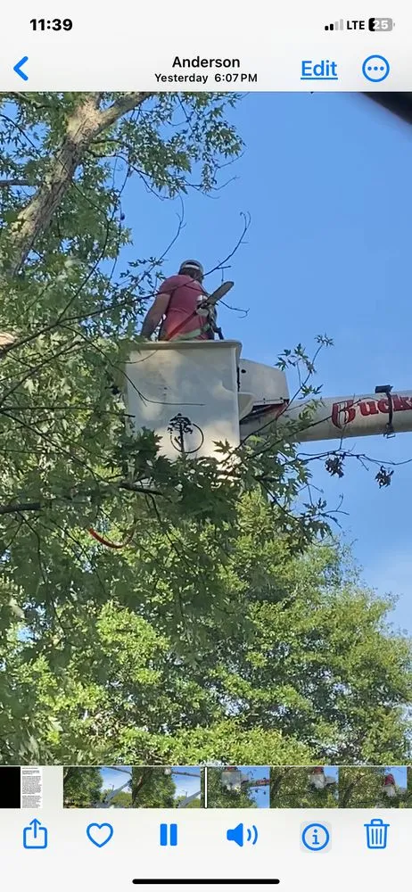 Top-rated residential landscaping in Anderson, SC by Rucker Tree & Lawn service