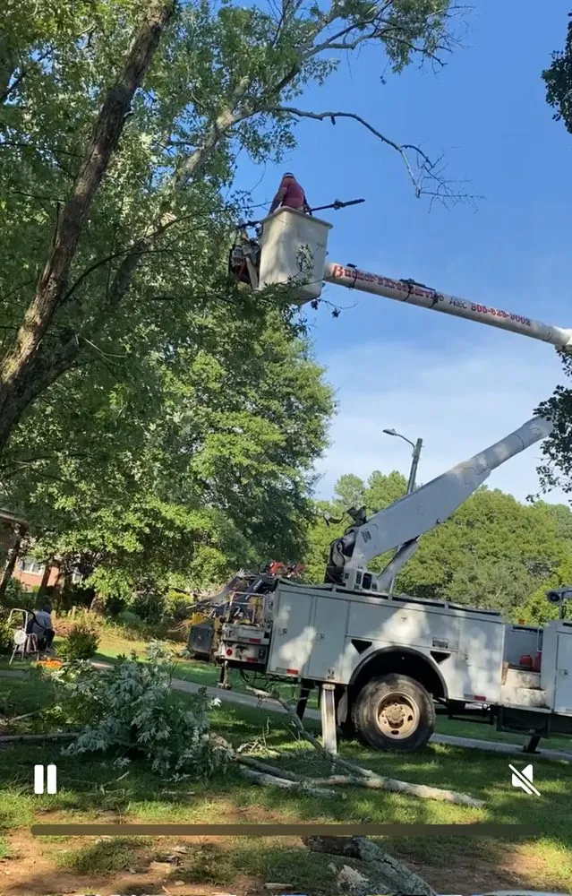 Affordable residential landscaping for residential properties across Anderson, SC - Rucker Tree & Lawn service