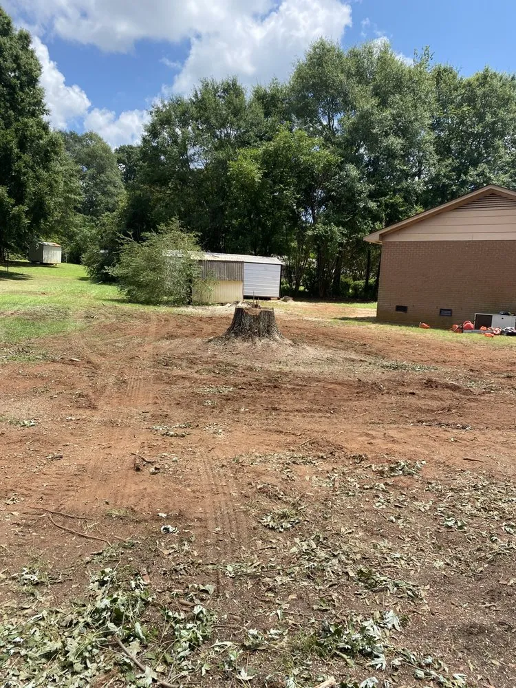 Custom landscaping services near you in Anderson, SC by Rucker Tree & Lawn service