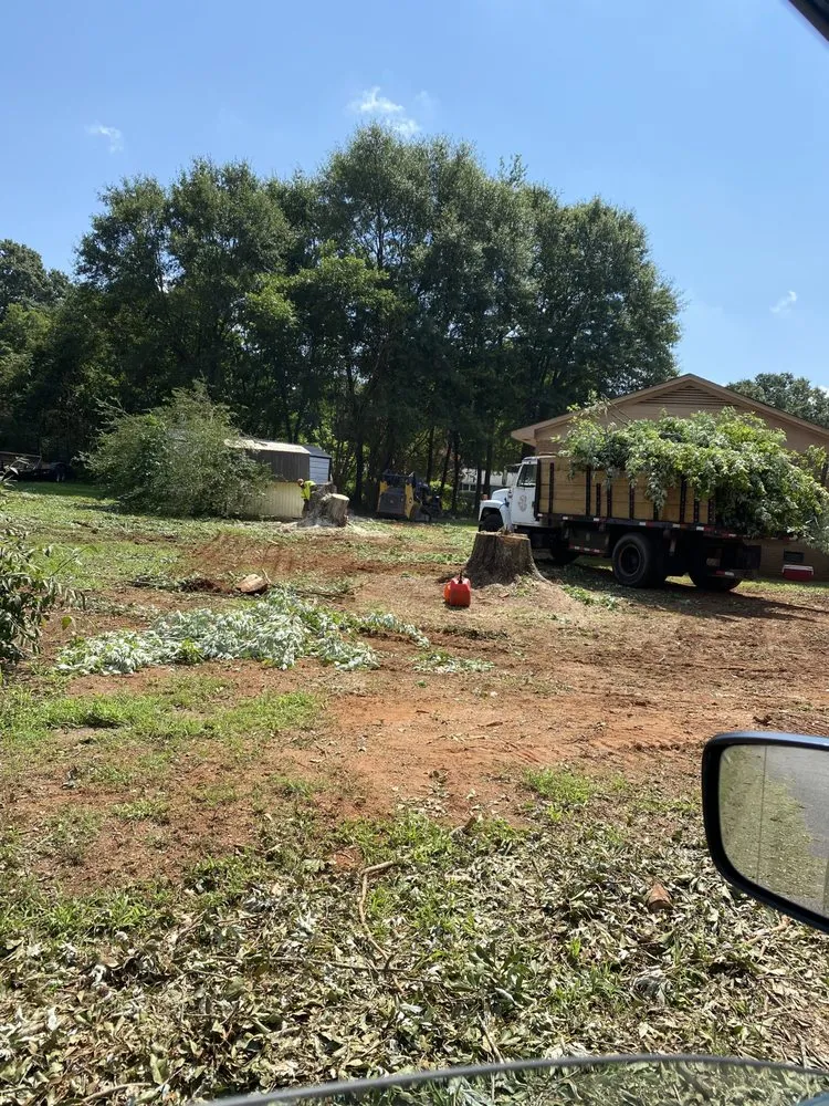 Trusted landscape installation experts serving Anderson, SC - Rucker Tree & Lawn service