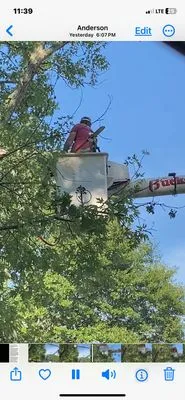 Rucker Tree & Lawn service Logo