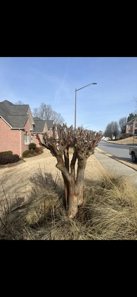 Affordable yard maintenance experts serving Euharlee, GA - Rudder Scapes