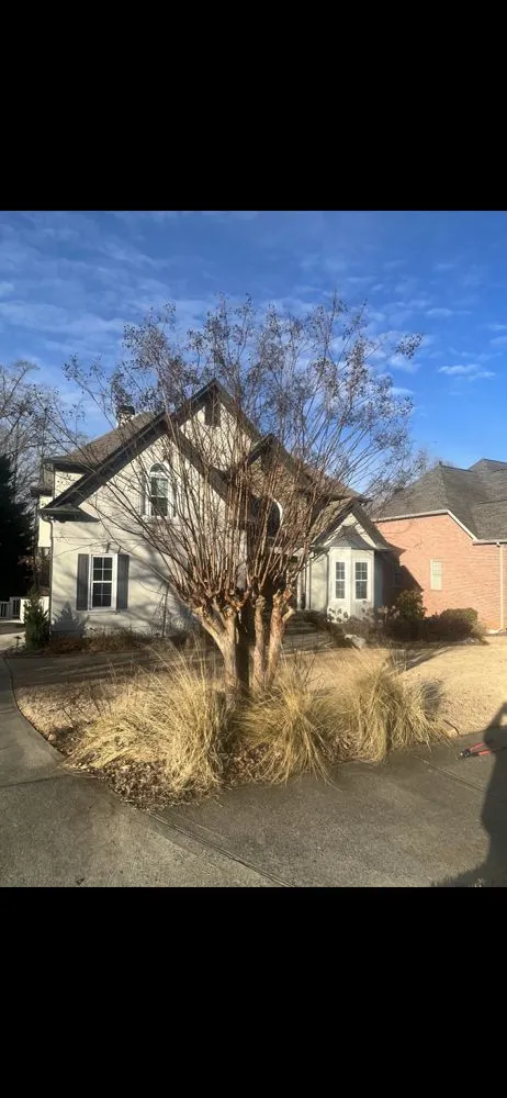 Top-rated landscape design in Euharlee, GA by Rudder Scapes