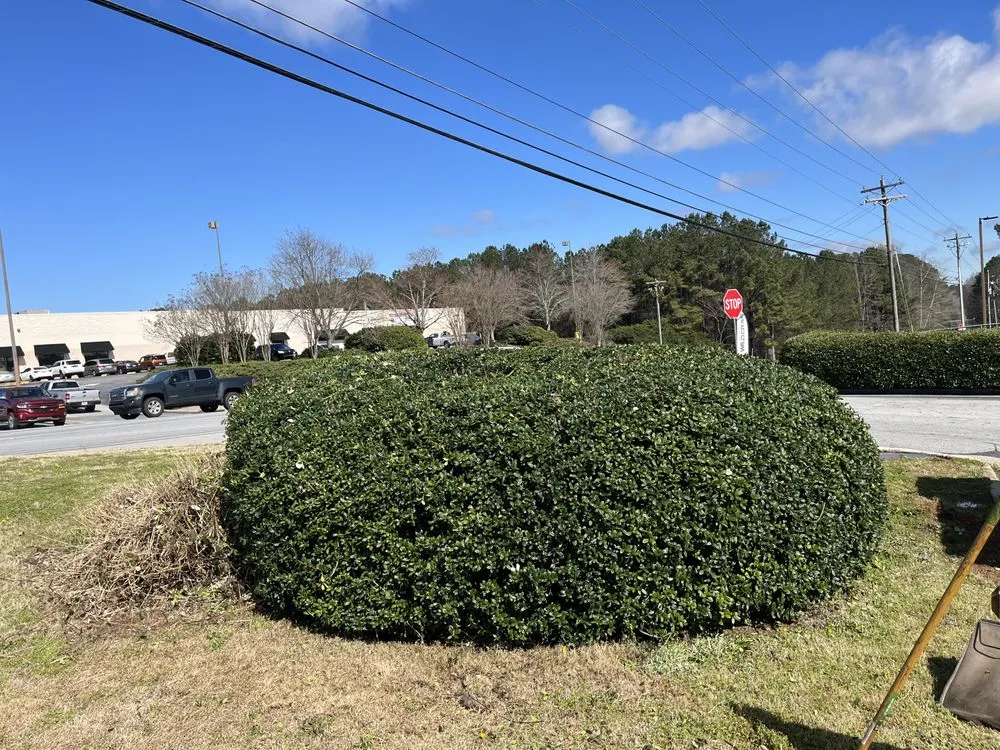 Custom landscape installation in Euharlee, GA by Rudder Scapes