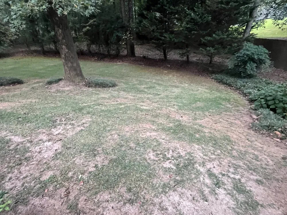 Top-rated yard cleanup service in Euharlee, GA - Rudder Scapes