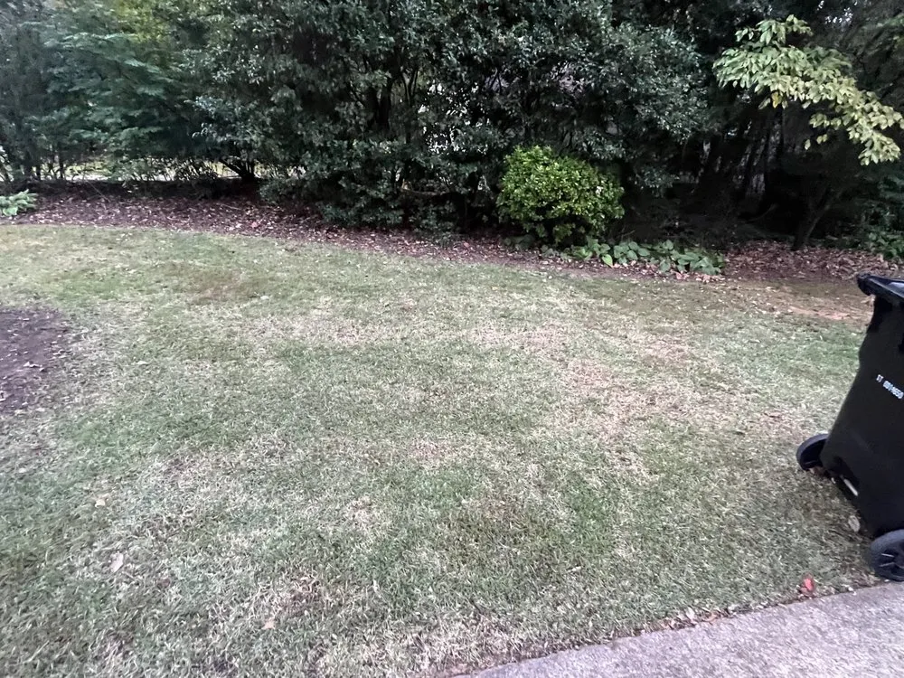 Expert landscaping services experts serving Euharlee, GA - Rudder Scapes