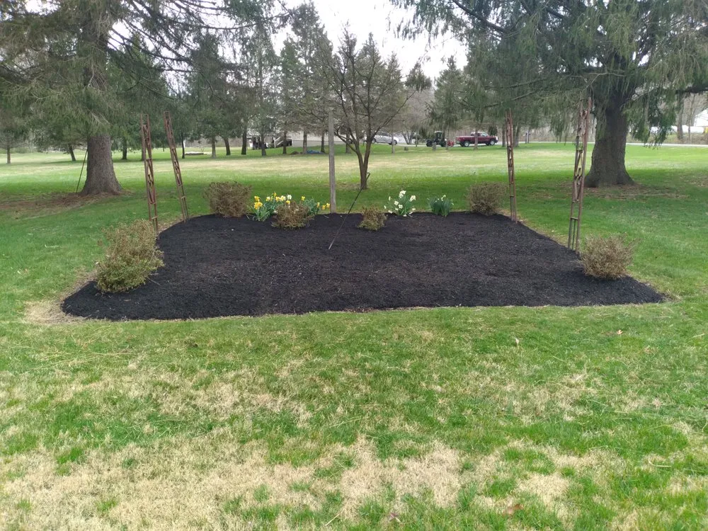 Custom yard cleanup service for year-round maintenance in Tower City, PA by RudeCat's Landscaping