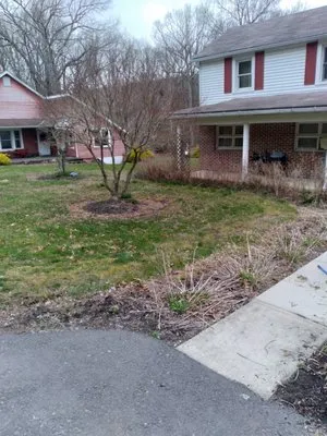 RudeCat's Landscaping