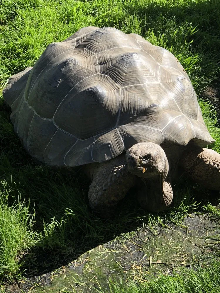 Trusted landscape design experts serving Poway, CA - Rudgers Landscape and Construction