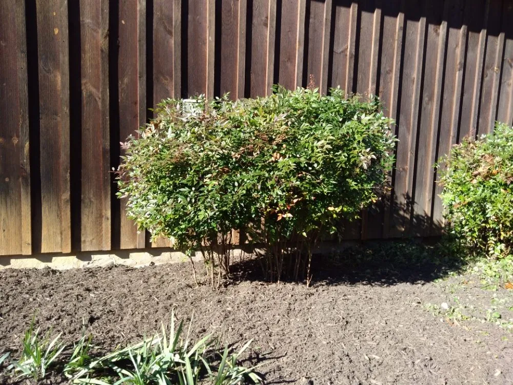 Top-rated lawn mowing service with custom design in Sperryville, VA by Rudi's Lawn and Landscape