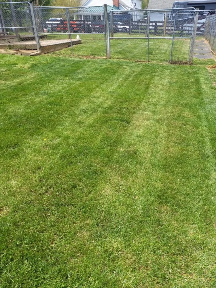 Affordable lawn mowing service for homes across Sperryville, VA - Rudi's Lawn and Landscape