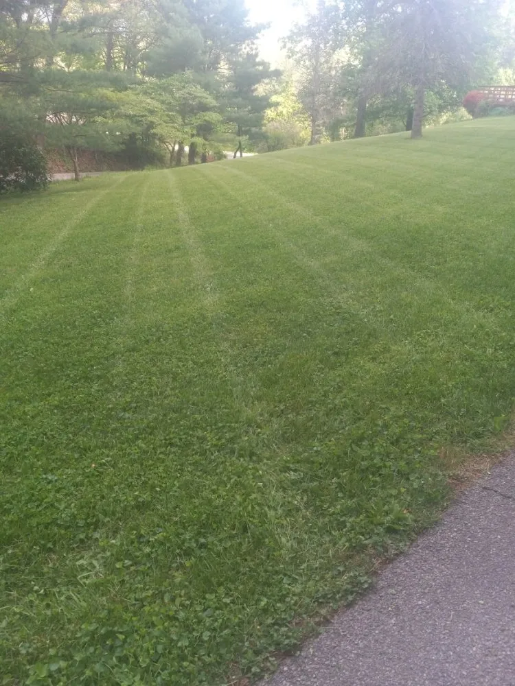 Local residential landscaping near you across Sperryville, VA - Rudi's Lawn and Landscape