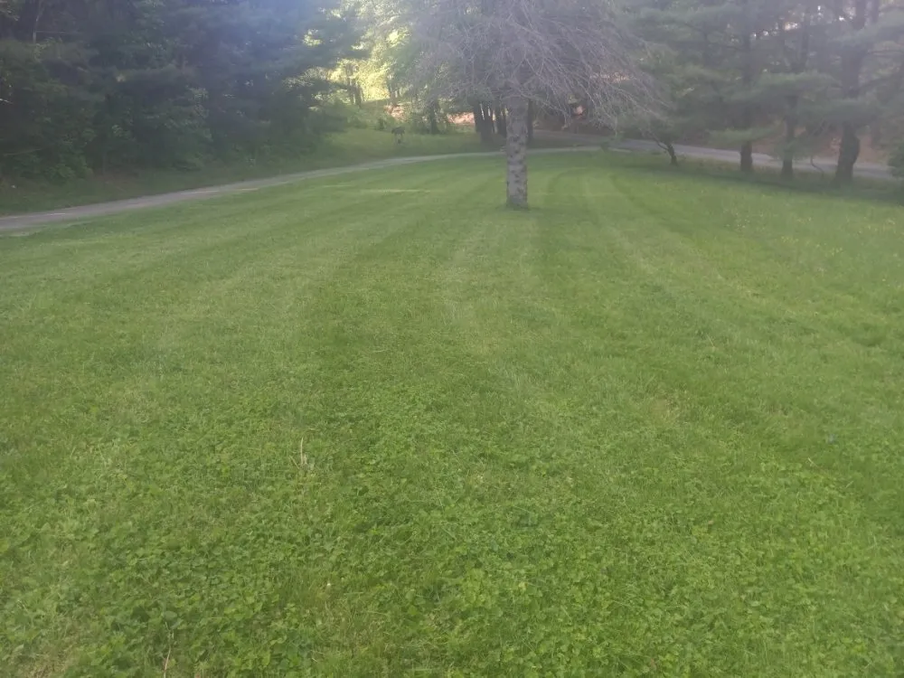 Top-rated residential landscaping for year-round maintenance in Sperryville, VA by Rudi's Lawn and Landscape