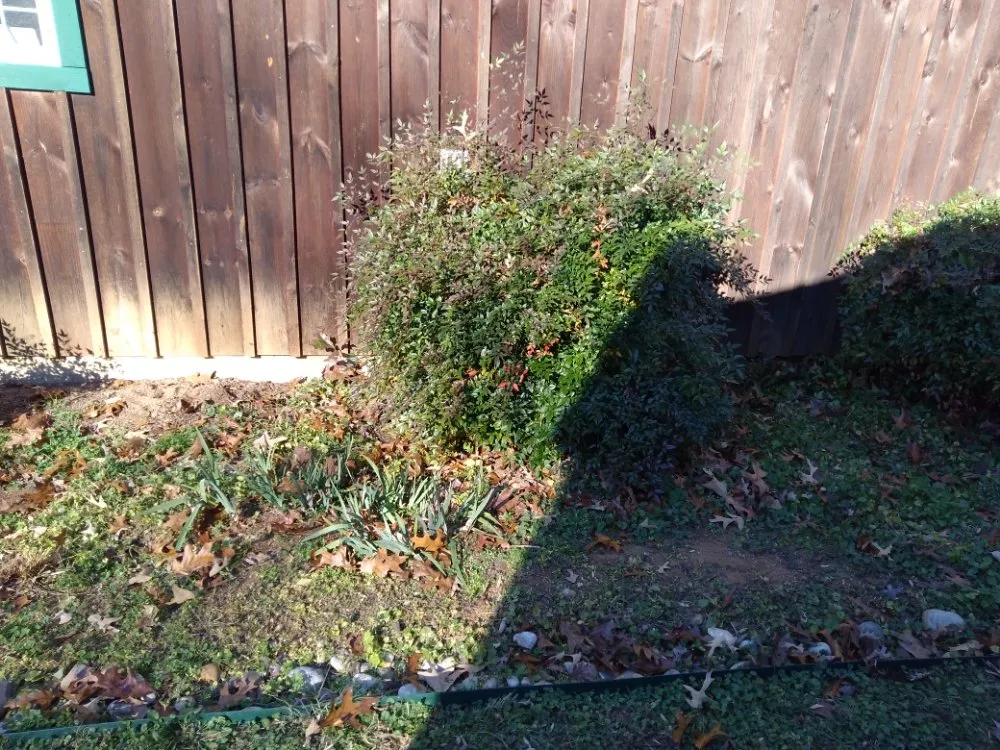 Expert yard maintenance experts serving Sperryville, VA - Rudi's Lawn and Landscape