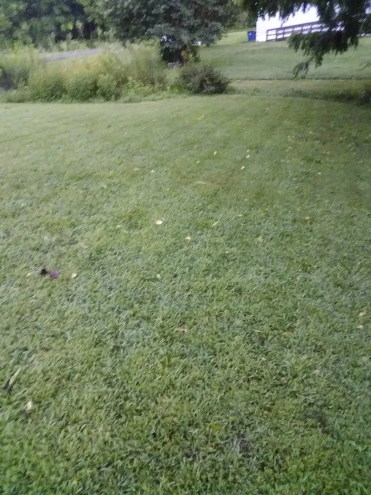 Reliable yard cleanup service experts serving Hickory, NC - Rudisill Tree & Lawn Care Maintenance