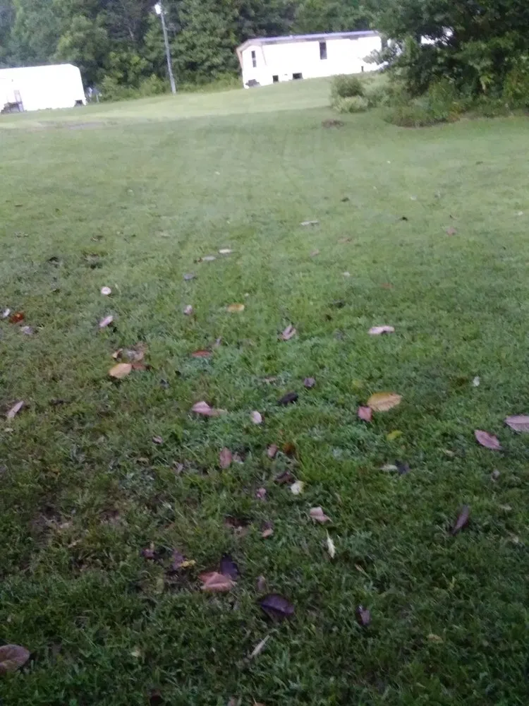 Expert garden landscaping experts serving Hickory, NC - Rudisill Tree & Lawn Care Maintenance